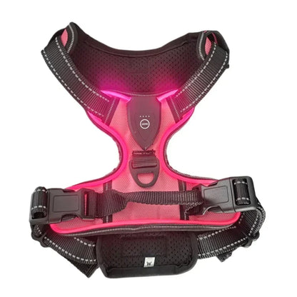LED No-Pull Dog Harness – Rechargeable Safety Vest for Night Walks