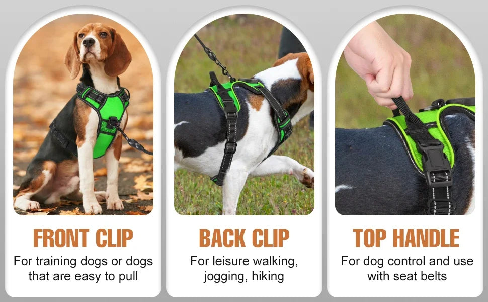 LED No-Pull Dog Harness – Rechargeable Safety Vest for Night Walks