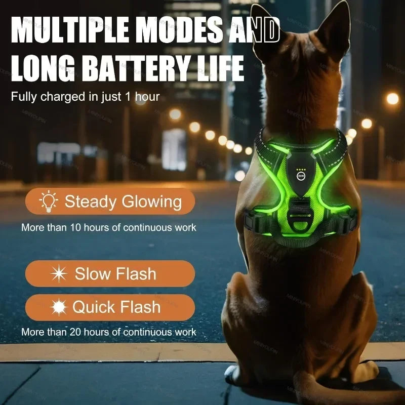 LED No-Pull Dog Harness – Rechargeable Safety Vest for Night Walks