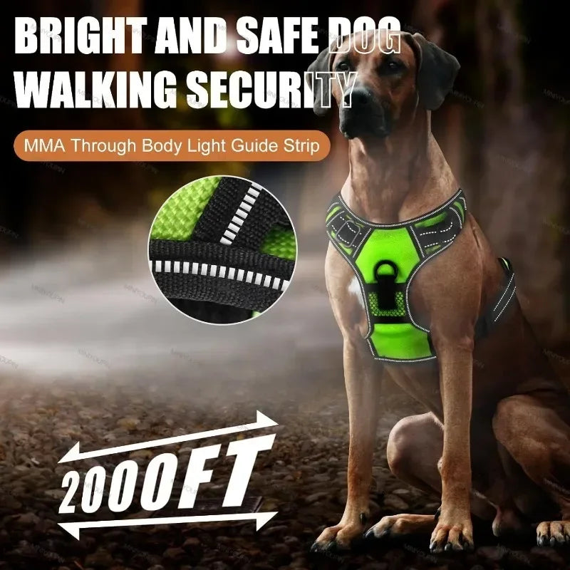 LED No-Pull Dog Harness – Rechargeable Safety Vest for Night Walks
