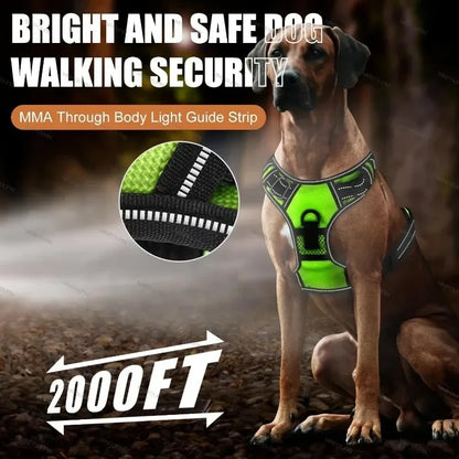 LED No-Pull Dog Harness – Rechargeable Safety Vest for Night Walks
