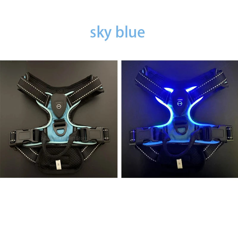 LED No-Pull Dog Harness – Rechargeable Safety Vest for Night Walks