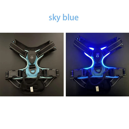 LED No-Pull Dog Harness – Rechargeable Safety Vest for Night Walks