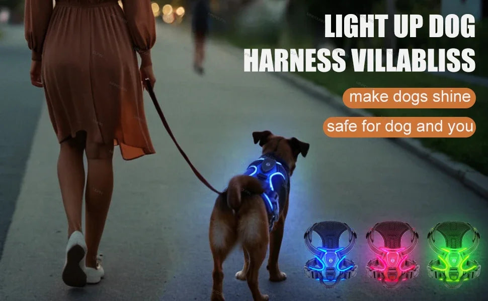 LED No-Pull Dog Harness – Rechargeable Safety Vest for Night Walks