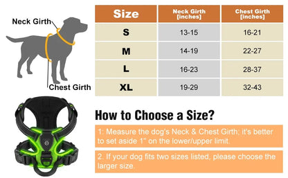 LED No-Pull Dog Harness – Rechargeable Safety Vest for Night Walks