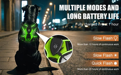 LED No-Pull Dog Harness – Rechargeable Safety Vest for Night Walks